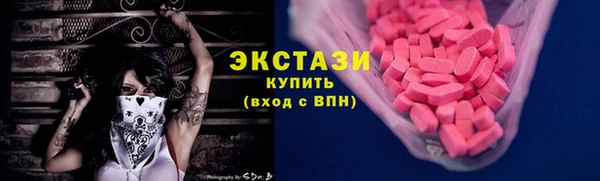 молекула духа Богородицк