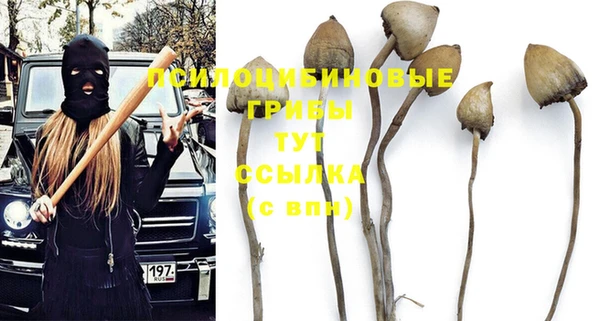 молекула духа Богородицк