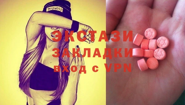 молекула духа Богородицк